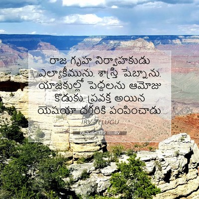 Picture 07 - యెషయా 37:2 TELIRV - రాజ గృహ - Bible Verse Picture