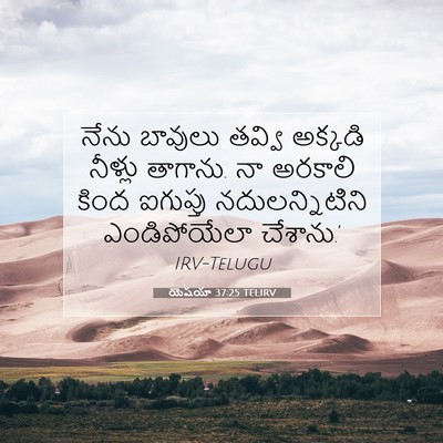 Picture 07 - యెషయా 37:25 TELIRV - నేను బావులు తవ్వి - Bible Verse Picture