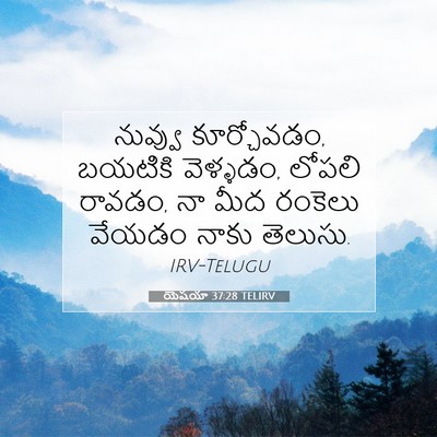 Picture 07 - యెషయా 37:28 TELIRV - నువ్వు కూర్చోవడం, - Bible Verse Picture