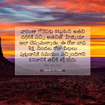 Picture 07 - యెషయా 37:3 TELIRV - వారంతా గోనెపట్ట - Bible Verse Picture