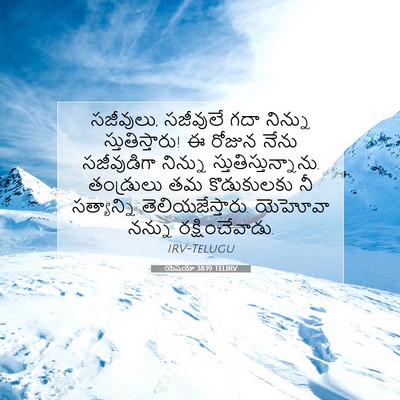 Picture 07 - యెషయా 38:19 TELIRV - సజీవులు, సజీవులే - Bible Verse Picture