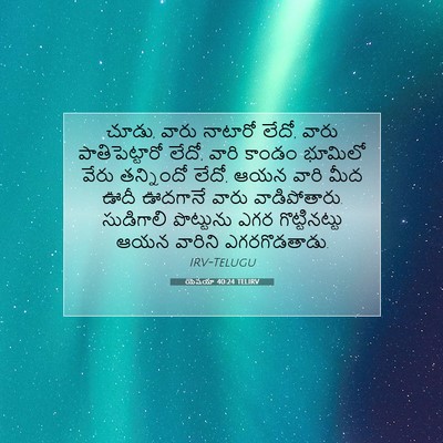 Picture 07 - యెషయా 40:24 TELIRV - చూడు, వారు నాటారో - Bible Verse Picture