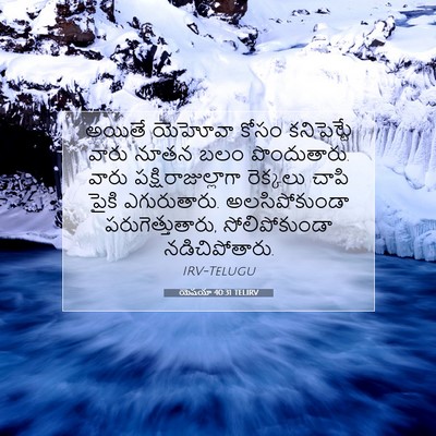 Picture 07 - యెషయా 40:31 TELIRV - అయితే యెహోవా కోసం - Bible Verse Picture