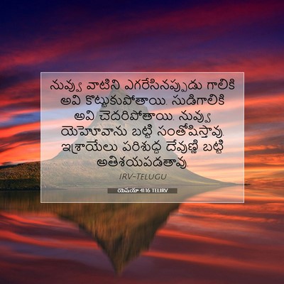 Picture 07 - యెషయా 41:16 TELIRV - నువ్వు వాటిని - Bible Verse Picture