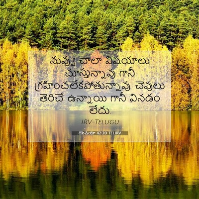 Picture 07 - యెషయా 42:20 TELIRV - నువ్వు చాలా - Bible Verse Picture