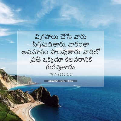 Picture 07 - యెషయా 45:16 TELIRV - విగ్రహాలు చేసే - Bible Verse Picture
