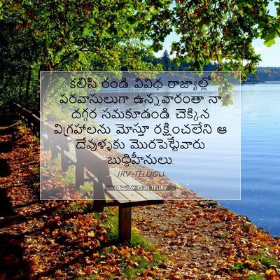Picture 07 - యెషయా 45:20 TELIRV - కలిసి రండి, వివిధ - Bible Verse Picture