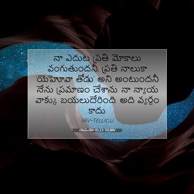 Picture 07 - యెషయా 45:23 TELIRV - నా ఎదుట ప్రతి - Bible Verse Picture