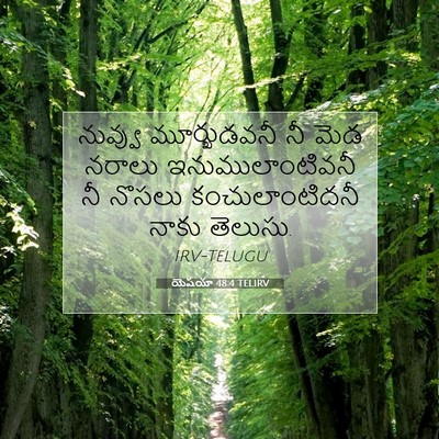 Picture 07 - యెషయా 48:4 TELIRV - నువ్వు మూర్ఖుడవనీ - Bible Verse Picture