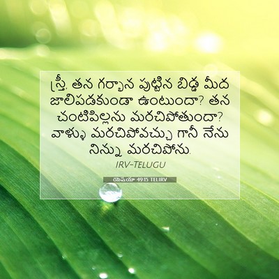 Picture 07 - యెషయా 49:15 TELIRV - స్త్రీ, తన గర్భాన - Bible Verse Picture
