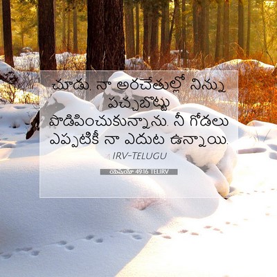 Picture 07 - యెషయా 49:16 TELIRV - చూడు, నా - Bible Verse Picture