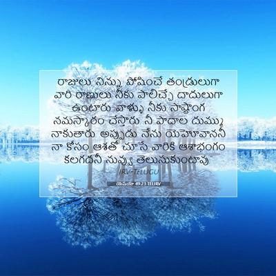 Picture 07 - యెషయా 49:23 TELIRV - రాజులు, నిన్ను - Bible Verse Picture