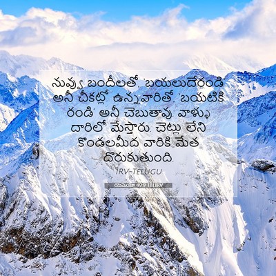 Picture 07 - యెషయా 49:9 TELIRV - నువ్వు బందీలతో, - Bible Verse Picture