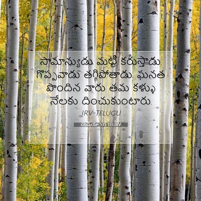 Picture 07 - యెషయా 5:15 TELIRV - సామాన్యుడు మట్టి - Bible Verse Picture