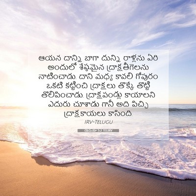 Picture 07 - యెషయా 5:2 TELIRV - ఆయన దాన్ని బాగా - Bible Verse Picture
