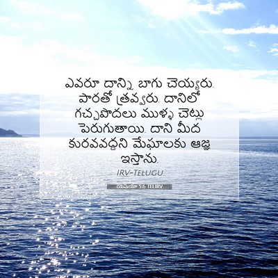 Picture 07 - యెషయా 5:6 TELIRV - ఎవరూ దాన్ని బాగు - Bible Verse Picture