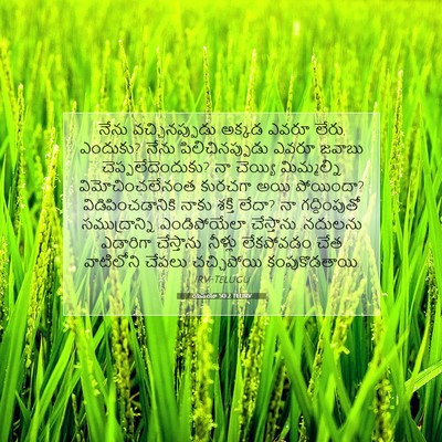 Picture 07 - యెషయా 50:2 TELIRV - నేను వచ్చినప్పుడు - Bible Verse Picture