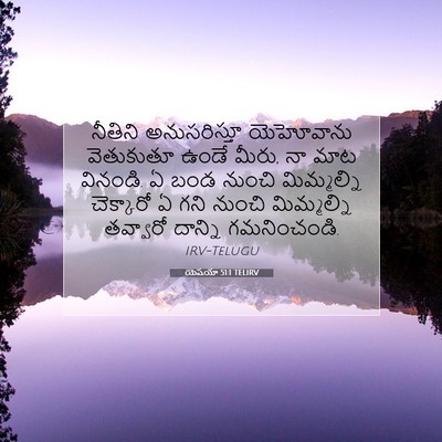 Picture 07 - యెషయా 51:1 TELIRV - నీతిని అనుసరిస్తూ - Bible Verse Picture
