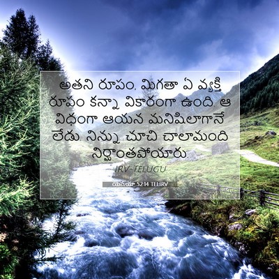 Picture 07 - యెషయా 52:14 TELIRV - అతని రూపం, మిగతా ఏ - Bible Verse Picture