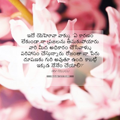 Picture 07 - యెషయా 52:5 TELIRV - ఇదే యెహోవా వాక్కు. - Bible Verse Picture