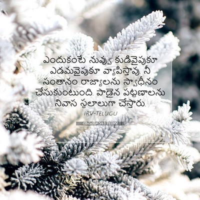 Picture 07 - యెషయా 54:3 TELIRV - ఎందుకంటే నువ్వు - Bible Verse Picture