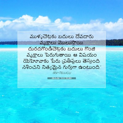 Picture 07 - యెషయా 55:13 TELIRV - ముళ్ళచెట్లకు - Bible Verse Picture