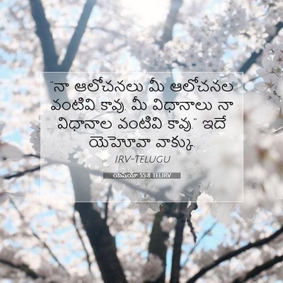 Picture 07 - యెషయా 55:8 TELIRV - “నా ఆలోచనలు మీ - Bible Verse Picture