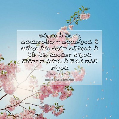 Picture 07 - యెషయా 58:8 TELIRV - అప్పుడు నీ వెలుగు, - Bible Verse Picture