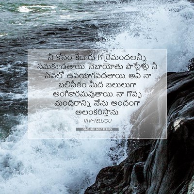 Picture 07 - యెషయా 60:7 TELIRV - నీ కోసం కేదారు - Bible Verse Picture