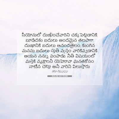 Picture 07 - యెషయా 61:3 TELIRV - సీయోనులో - Bible Verse Picture