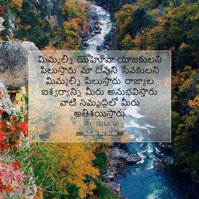 Picture 07 - యెషయా 61:6 TELIRV - మిమ్మల్ని యెహోవా - Bible Verse Picture