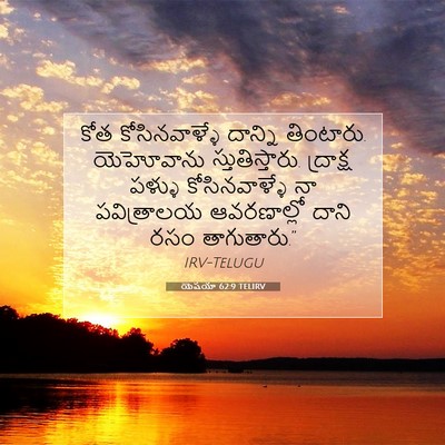 Picture 07 - యెషయా 62:9 TELIRV - కోత కోసినవాళ్ళే - Bible Verse Picture