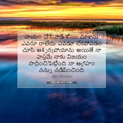 Picture 07 - యెషయా 63:5 TELIRV - సాయం చేసేవాడి - Bible Verse Picture