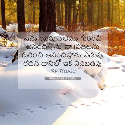 Picture 07 - యెషయా 65:19 TELIRV - నేను యెరూషలేము - Bible Verse Picture
