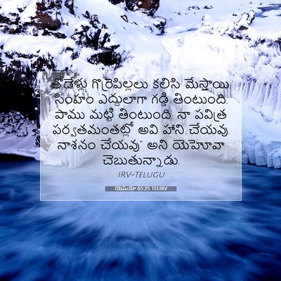Picture 07 - యెషయా 65:25 TELIRV - తోడేళ్లు - Bible Verse Picture