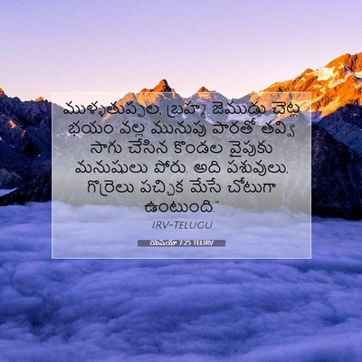 Picture 07 - యెషయా 7:25 TELIRV - ముళ్ళతుప్పల, - Bible Verse Picture