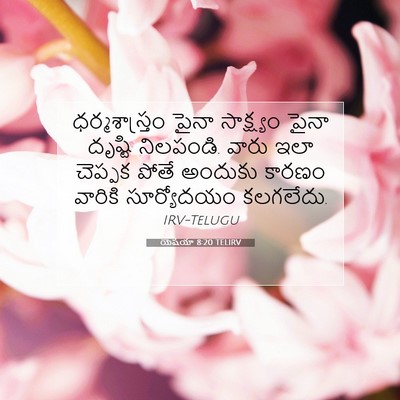 Picture 07 - యెషయా 8:20 TELIRV - ధర్మశాస్త్రం పైనా - Bible Verse Picture