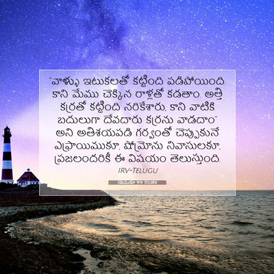 Picture 07 - యెషయా 9:9 TELIRV - “వాళ్ళు ఇటుకలతో - Bible Verse Picture