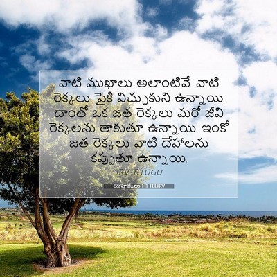 Picture 07 - యెహెజ్కేలు 1:11 TELIRV - వాటి ముఖాలు - Bible Verse Picture