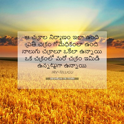 Picture 07 - యెహెజ్కేలు 1:16 TELIRV - ఆ చక్రాల నిర్మాణం - Bible Verse Picture