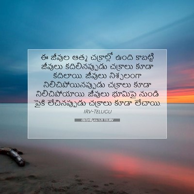 Picture 07 - యెహెజ్కేలు 1:21 TELIRV - ఈ జీవుల ఆత్మ - Bible Verse Picture