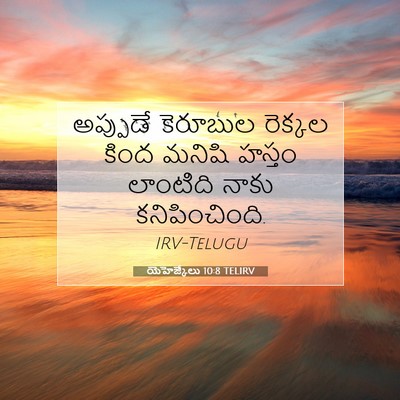 Picture 07 - యెహెజ్కేలు 10:8 TELIRV - అప్పుడే కెరూబుల - Bible Verse Picture