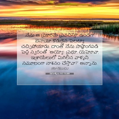 Picture 07 - యెహెజ్కేలు 11:13 TELIRV - నేను ఆ ప్రకారమే - Bible Verse Picture