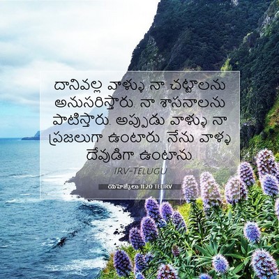 Picture 07 - యెహెజ్కేలు 11:20 TELIRV - దానివల్ల వాళ్ళు - Bible Verse Picture