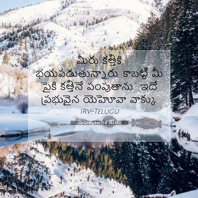Picture 07 - యెహెజ్కేలు 11:8 TELIRV - మీరు కత్తికి - Bible Verse Picture