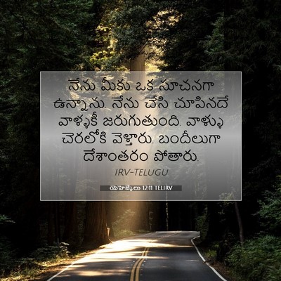 Picture 07 - యెహెజ్కేలు 12:11 TELIRV - నేను మీకు ఒక - Bible Verse Picture