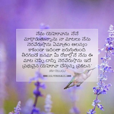 Picture 07 - యెహెజ్కేలు 12:25 TELIRV - నేను యెహోవాను. - Bible Verse Picture