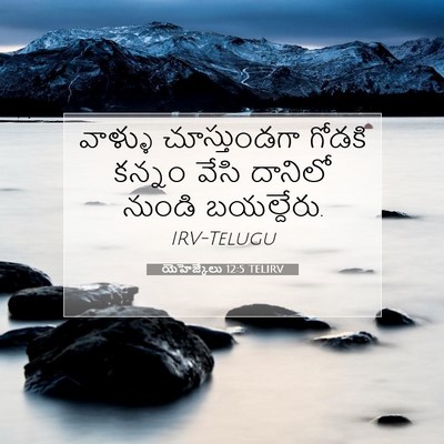 Picture 07 - యెహెజ్కేలు 12:5 TELIRV - వాళ్ళు చూస్తుండగా - Bible Verse Picture