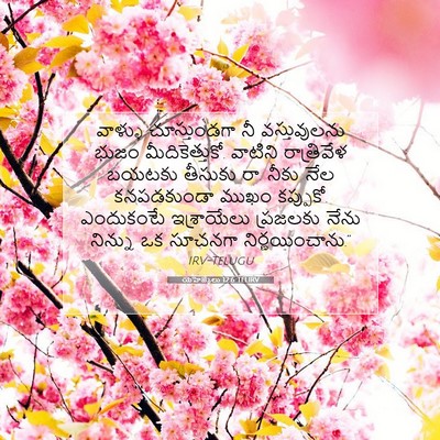 Picture 07 - యెహెజ్కేలు 12:6 TELIRV - వాళ్ళు చూస్తుండగా - Bible Verse Picture