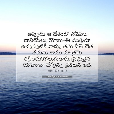 Picture 07 - యెహెజ్కేలు 14:14 TELIRV - అప్పుడు ఆ దేశంలో - Bible Verse Picture